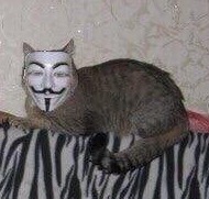 Vincent Mask